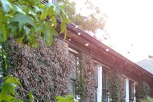 4417 Swiss - LANDMARK courtyard 2